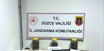 Düzce'de Uyuşturucu Operasyonu: Kubar Esrar ve Tüfek Ele Geçirildi