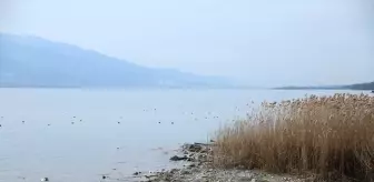 Sapanca Gölü'nün Korunması İçin Çalışma Başlatılıyor