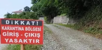 Tunceli'de şap hastalığı paniği: İlçede karantina uygulaması başladı