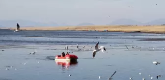 Konya, Göç Eden Kuşların Gözlem Merkezi Olmaya Devam Ediyor