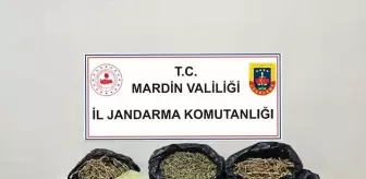 Mardin'de Uyuşturucu Operasyonu: 4 Kilo Esrar Ele Geçirildi