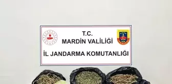 Mardin'de Uyuşturucu Ticareti Yapan Şahıs Tutuklandı