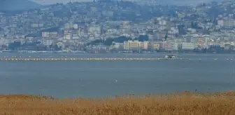 Kocaeli'de Flamingo Gözlem Şenliği Düzenlendi