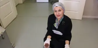 Gaziantepli Girişimci Meral Marangoz'dan Sürdürülebilir Kahve Üretimi