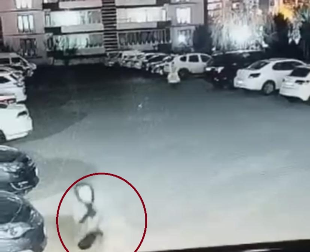 Dog Attack in Diyarbakır: Moments of the Woman and Child's Escape Caught on Camera