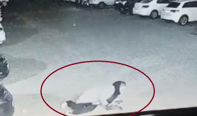 Dog Attack in Diyarbakır: Moments of the Woman and Child's Escape Caught on Camera