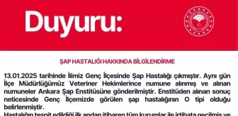 Bingöl'ün Genç İlçesinde Şap Hastalığı Nedeniyle 21 Günlük Karantina