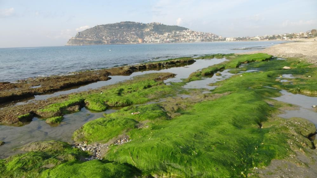 The sea water receded by 7-8 meters, reminiscent of the earthquake storm in the Aegean