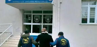 Kütahya'da Jandarma, Ocak Ayında 103 Suçluyu Yakaladı