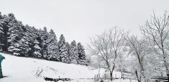 Samsun'un Yakakent İlçesinde Kar Yağışı