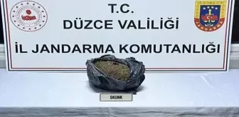 Düzce Otoyolu'nda Uyuşturucu İle Yakalanan Şüpheli Tutuklandı