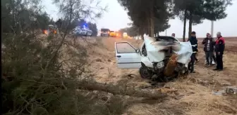 Şanlıurfa'da Otomobilin Ağaca Çarpması Sonucu 4 Yaralı