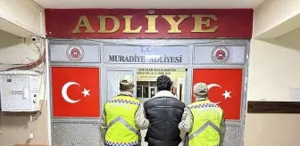 Muradiye'de Düzensiz Göçmen Operasyonu: 5 Göçmen Yakalandı