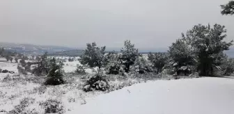 Sındırgı'da Kar Yağışı Sevinci