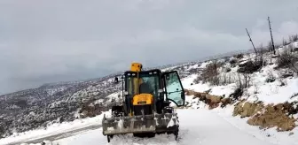 Bingöl, Şırnak ve Siirt'te Kar Yağışı Hayatı Olumsuz Etkiledi