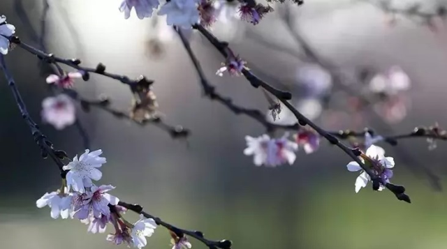 Cemre ne zaman düşer 2025? Cemre düştüğü nasıl anlaşılır?