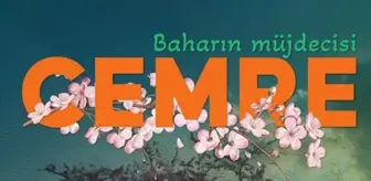 Cemre ne zaman düşüyor 2025?