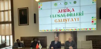 İstanbul'da Afrika Ulusal Dilleri Çalıştayı Düzenlendi