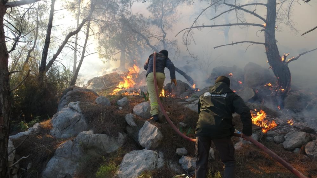 The broken high voltage line caused a forest fire