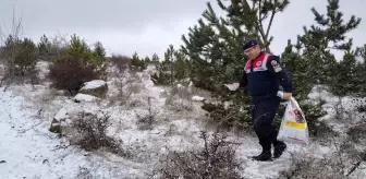 Yozgat'ta Jandarma, Yaban Hayvanları İçin Yem Takviyesi Yaptı