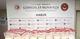 Habur Gümrük Kapısı'nda 631 Milyon TL Değerinde Uyuşturucu Ele Geçirildi