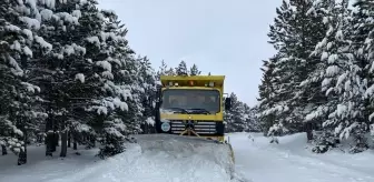 Kayseri'de Kar ve Tipi Nedeniyle 22 Kırsal Mahalle Yolunda Ulaşım Sağlanamıyor