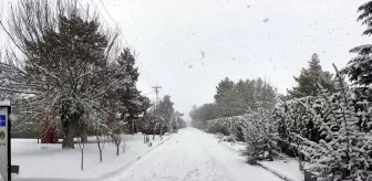 Niğde'nin Bor ilçesinde kar etili oluyor