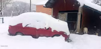 Zonguldak'ta Yarım Metre Kar Altında Hayvancılık Yapan Gümeli Sakinleri Üretimlerine Devam Ediyor