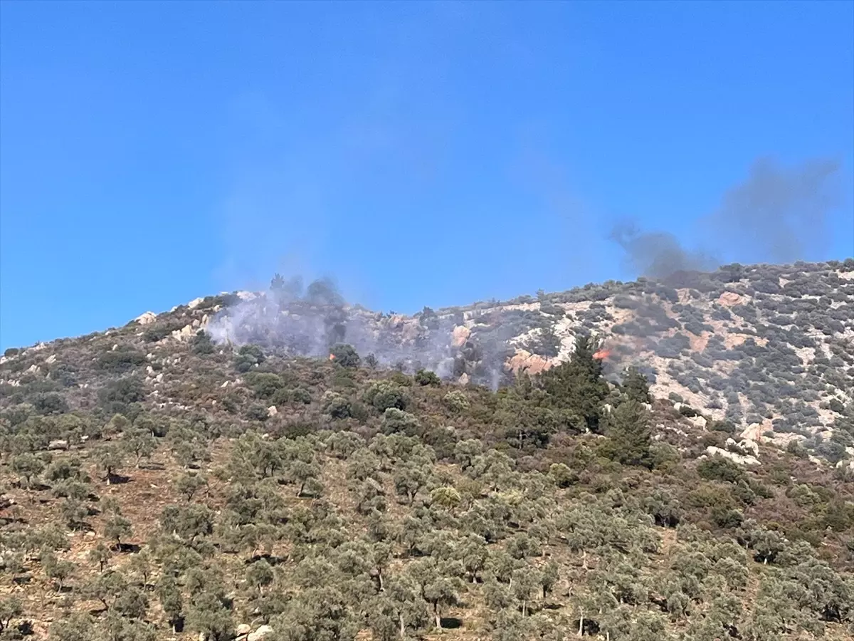 Muğla'nın Milas İlçesinde Makilik Alanda Yangın Çıktı