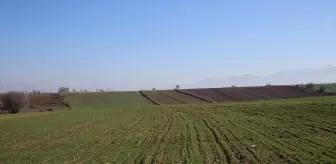 Tokat'ta Yerli Tohum Denemeleri Başladı