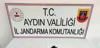 Aydın'da Faturasız Kurusıkı Tabanca ile Yakalanan Şüpheliye Ceza