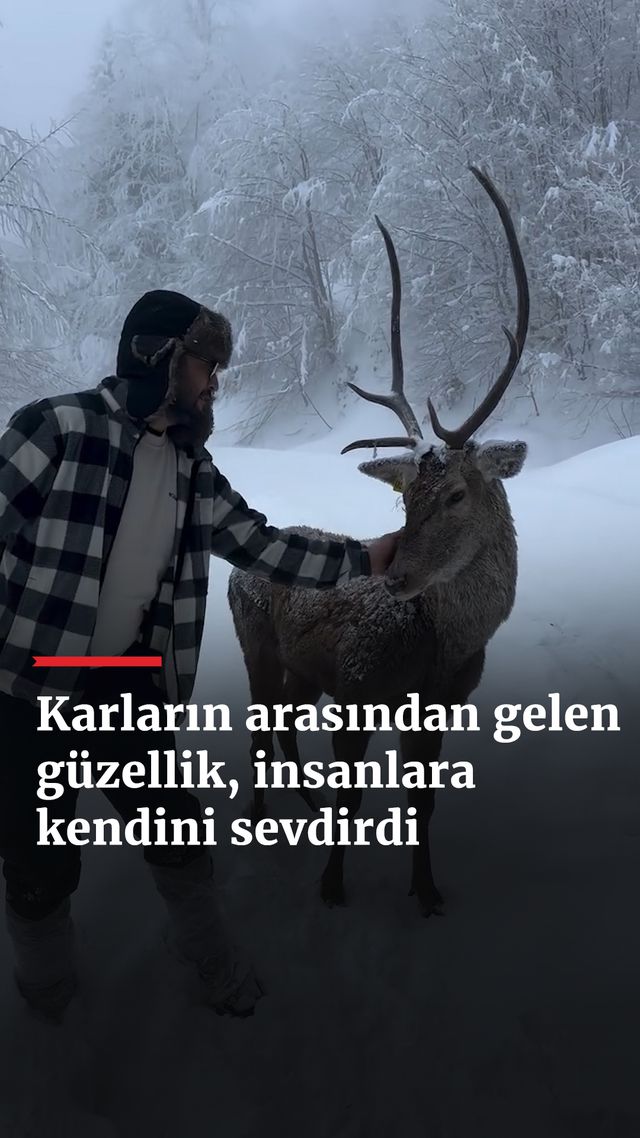https://foto.haberler.com/haber/2025/02/10/karlarin-arasindan-gelen-guzellik_5070_o.jpg
