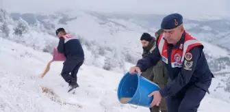 Kırşehir Jandarması Yaban Hayvanları İçin Yem Bıraktı