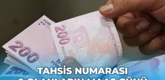 Tahsis numarası 0 olanlar ne zaman maaş alır?