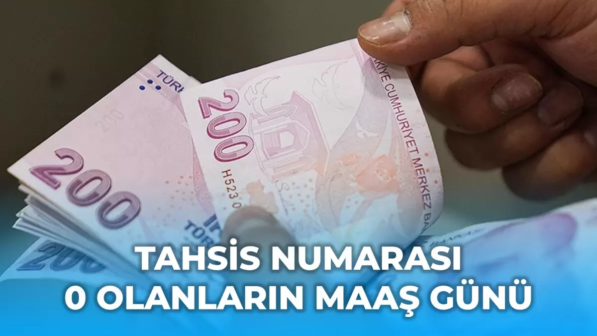 Tahsis numarası 0 olanlar ne zaman maaş alır?