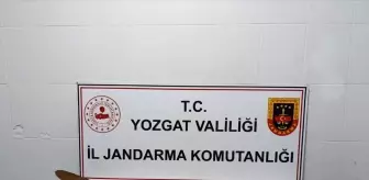 Yerköy'de Kaçak Kazı Yapmaya Hazırlanan 7 Kişi Yakalandı