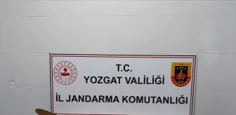 Yerköy'de Kaçak Kazı Yapan 7 Zanlı Suçüstü Yakalandı