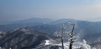 Amasya okullar tatil mi SON DAKİKA? 12 Şubat Çarşamba Amasya'da okul yok mu (Amasya Valiliği Açıklaması – KAR TATİLİ)?