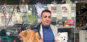 Çalınan köpek İhlas Haber Ajansı'nın haberinden sonra bulundu