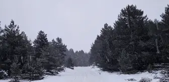 Çankırı'da Kar Yağışı Etkili Oluyor