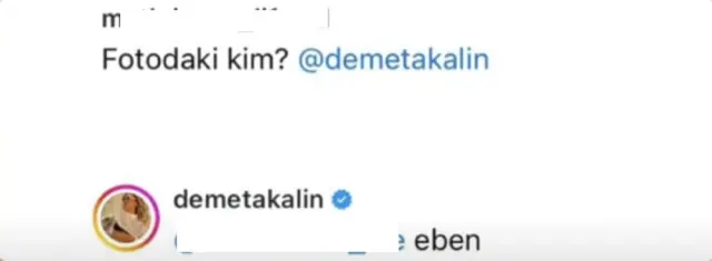 The comment on her photo made Demet Akalın furious