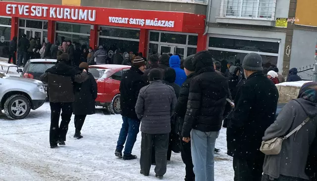 They waited for hours under the snow for cheap meat