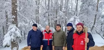 Uludağ'da Yaban Hayvanları İçin Yem Bırakıldı