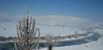 Van ve Hakkari'de Dondurucu Soğuklar Etkili