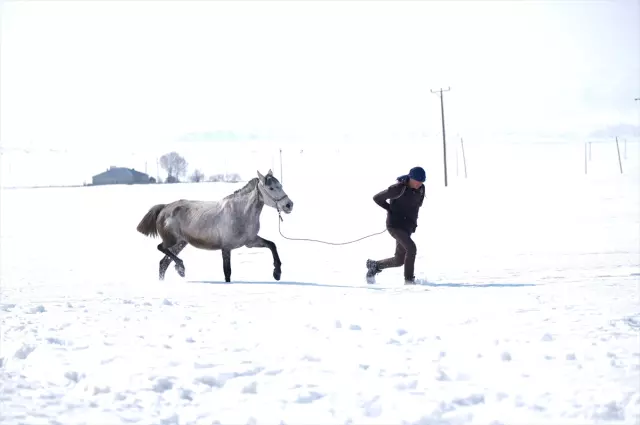 Snow break in 5 provinces