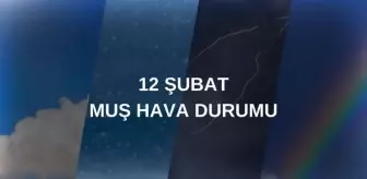 MUŞ HAVA DURUMU: 12 Şubat Muş hava durumu nasıl? Muş 5 günlük hava durumu tahmini