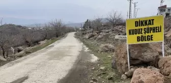 Sahipsiz Köpeğin Saldırısı Şanlıurfa'da Yaralanmalara Yol Açtı