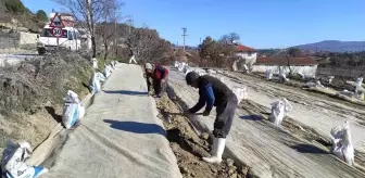 Manisa'nın Selendi İlçesinde Tütün Üretimi Yeniden Canlanıyor