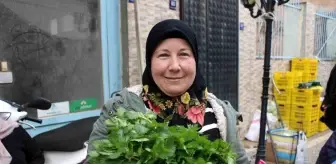 Ege'nin Doğal Lezzeti Isırgan Otu Pazarlarda Yok Satıyor