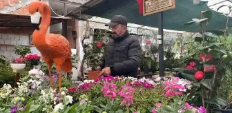 Ağabeyinin Hatırasını Yaşatmak için Botanik Kafe Açtı